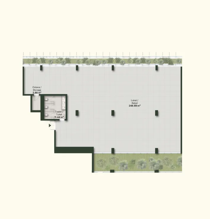 B1.PP1